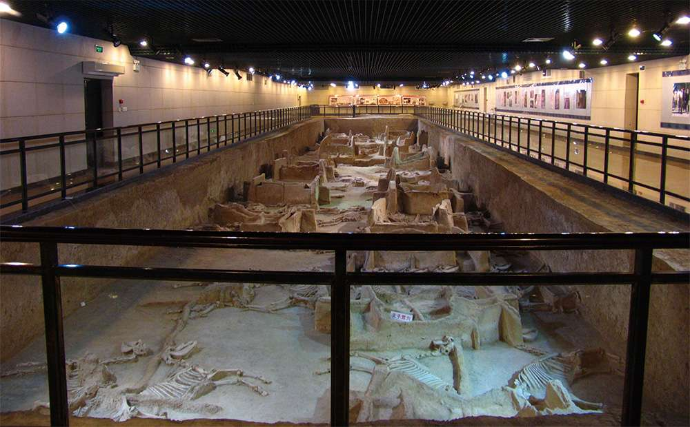 大汉帝国这个地下动物园里,有一只陪葬了2000年的大熊猫……