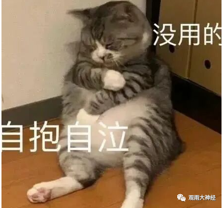 红海上的部落之怒,连军舰都没有的胡塞人是怎么掀翻美国霸权的?