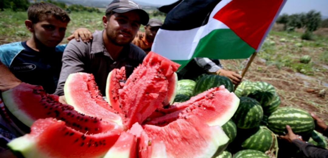 注意!在美留学生,请谨慎吃西瓜!一个不小心可能被遣返!