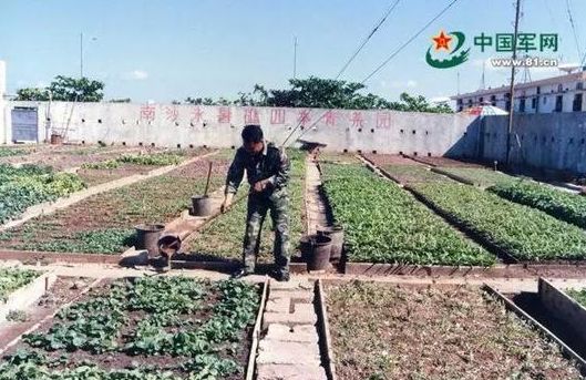 永暑礁长大了,110艘不沉的航空母舰震慑中国南海