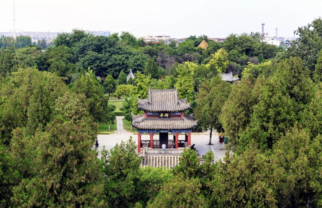 “大宋好弟弟”苏辙：为了“捞”哥哥，我努力干成了宰执之臣？