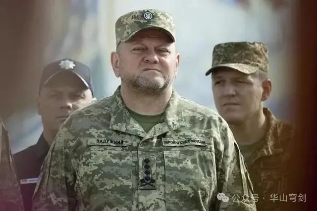 乌军总司令为什么被解雇？