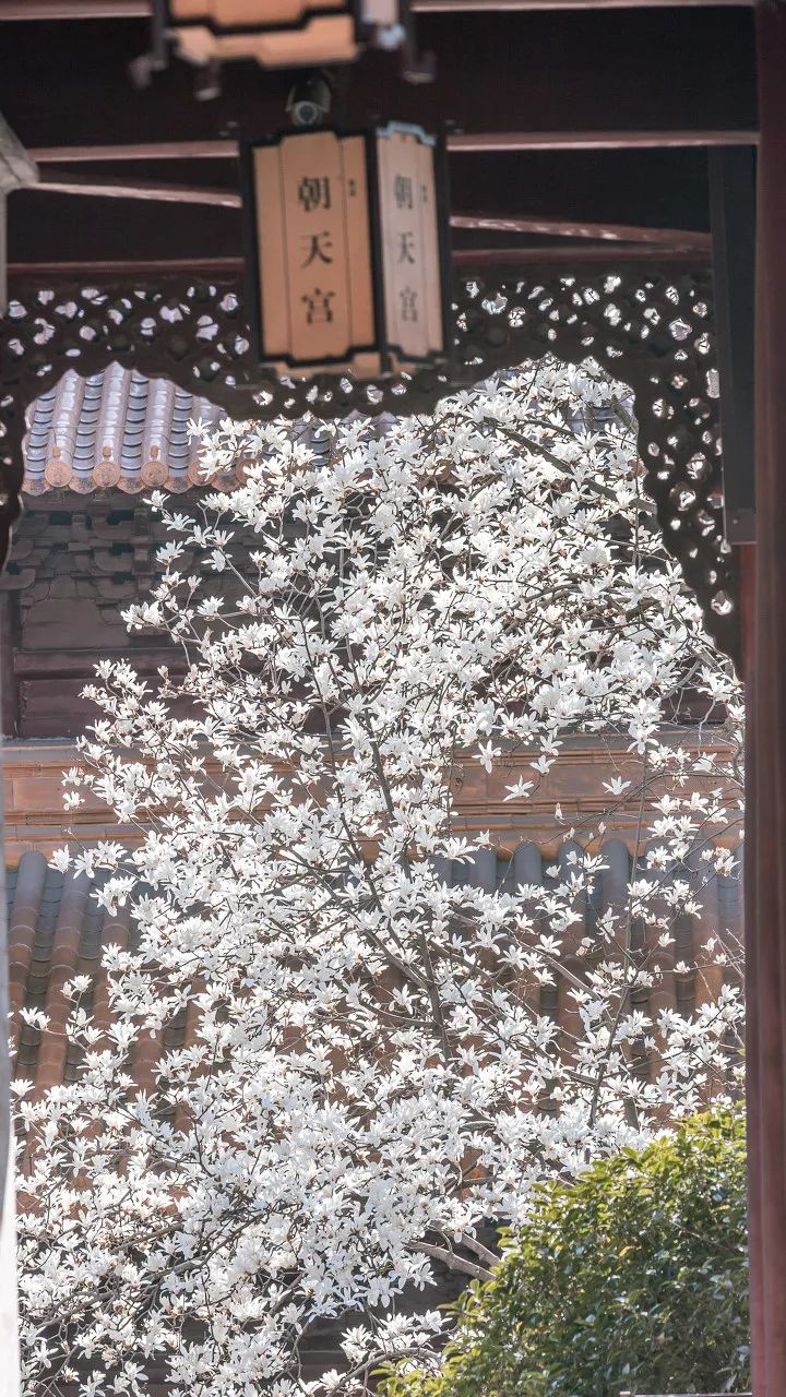 中国最爱改名的城市：改了40多次，曾用名70多个！如今名字超霸气，闻名天下！不输北京，此生必去......