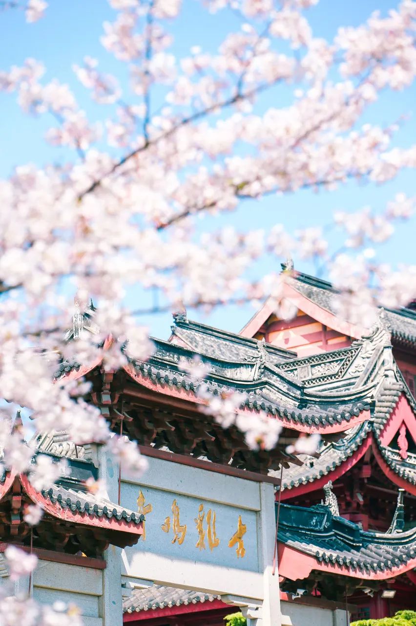 中国最爱改名的城市：改了40多次，曾用名70多个！如今名字超霸气，闻名天下！不输北京，此生必去......