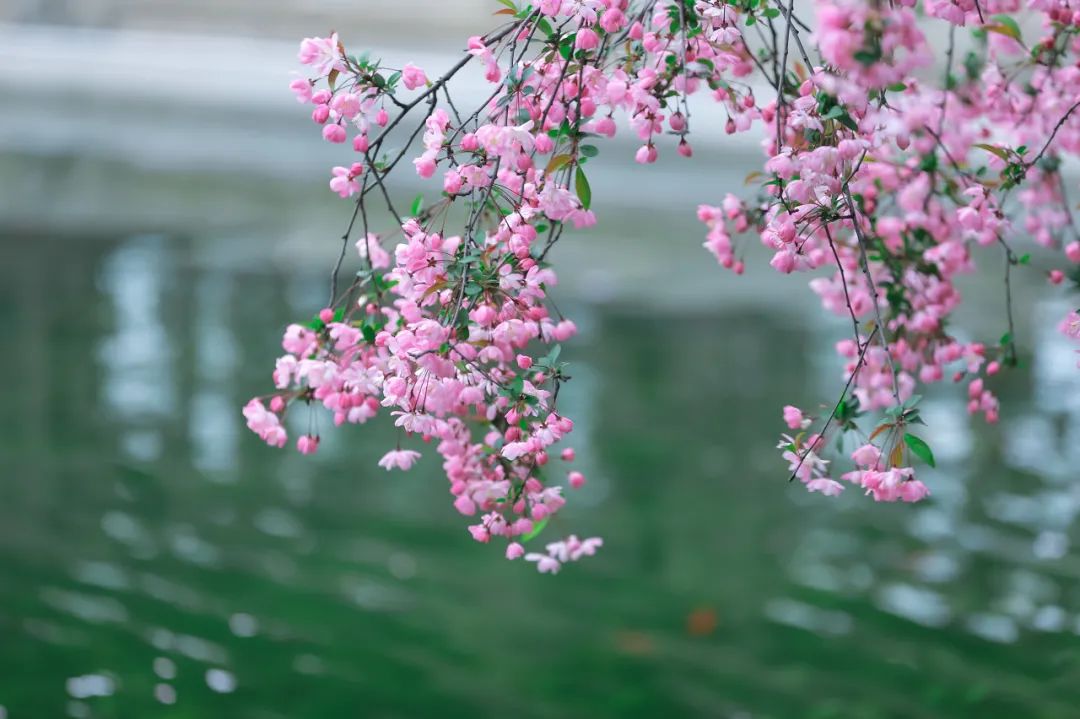 中国最爱改名的城市：改了40多次，曾用名70多个！如今名字超霸气，闻名天下！不输北京，此生必去......