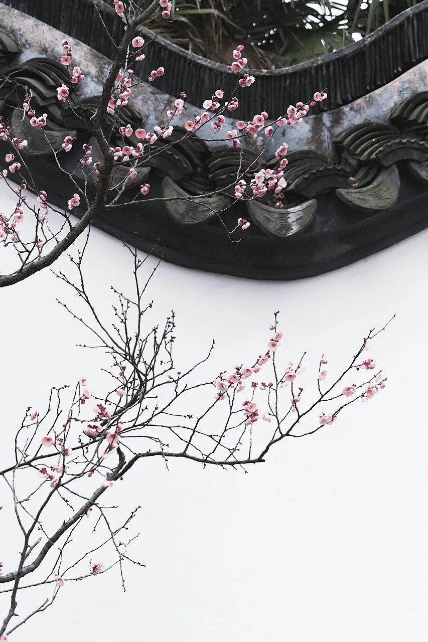 中国最爱改名的城市：改了40多次，曾用名70多个！如今名字超霸气，闻名天下！不输北京，此生必去......