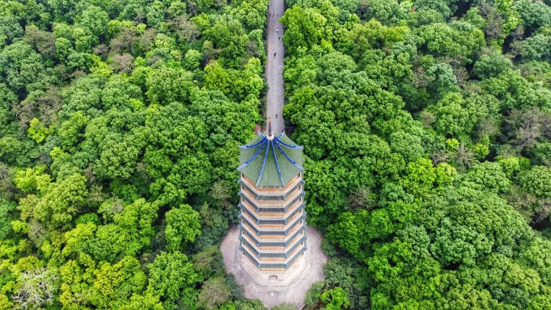 中国最爱改名的城市：改了40多次，曾用名70多个！如今名字超霸气，闻名天下！不输北京，此生必去......