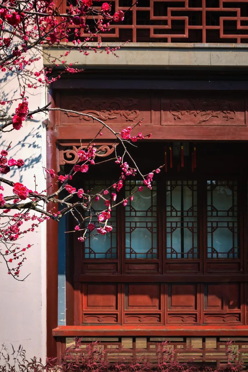 中国最爱改名的城市：改了40多次，曾用名70多个！如今名字超霸气，闻名天下！不输北京，此生必去......