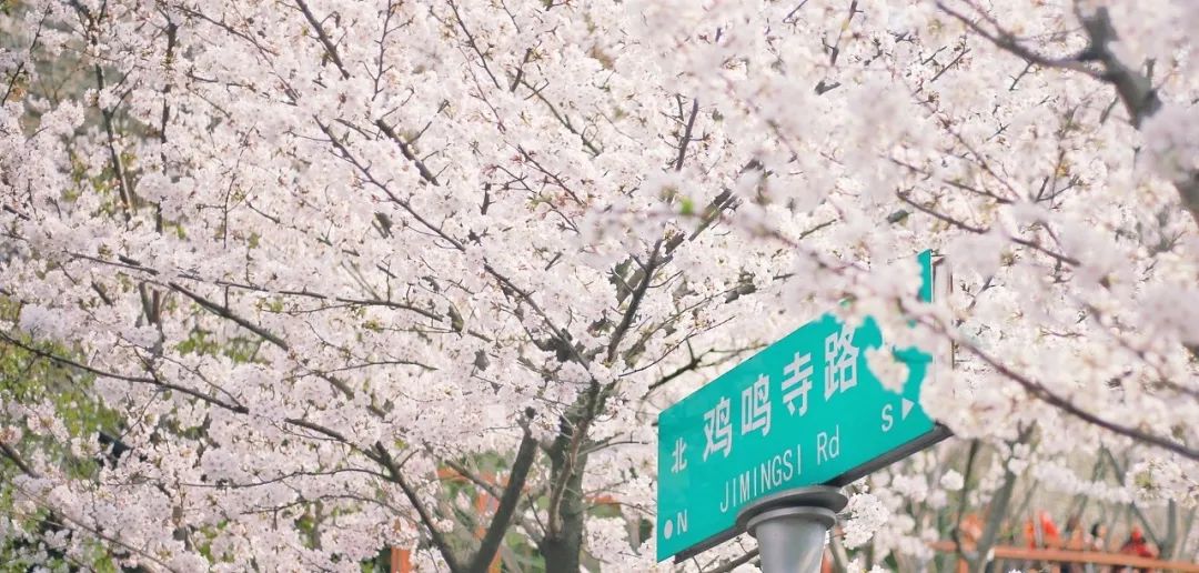 中国最爱改名的城市：改了40多次，曾用名70多个！如今名字超霸气，闻名天下！不输北京，此生必去......