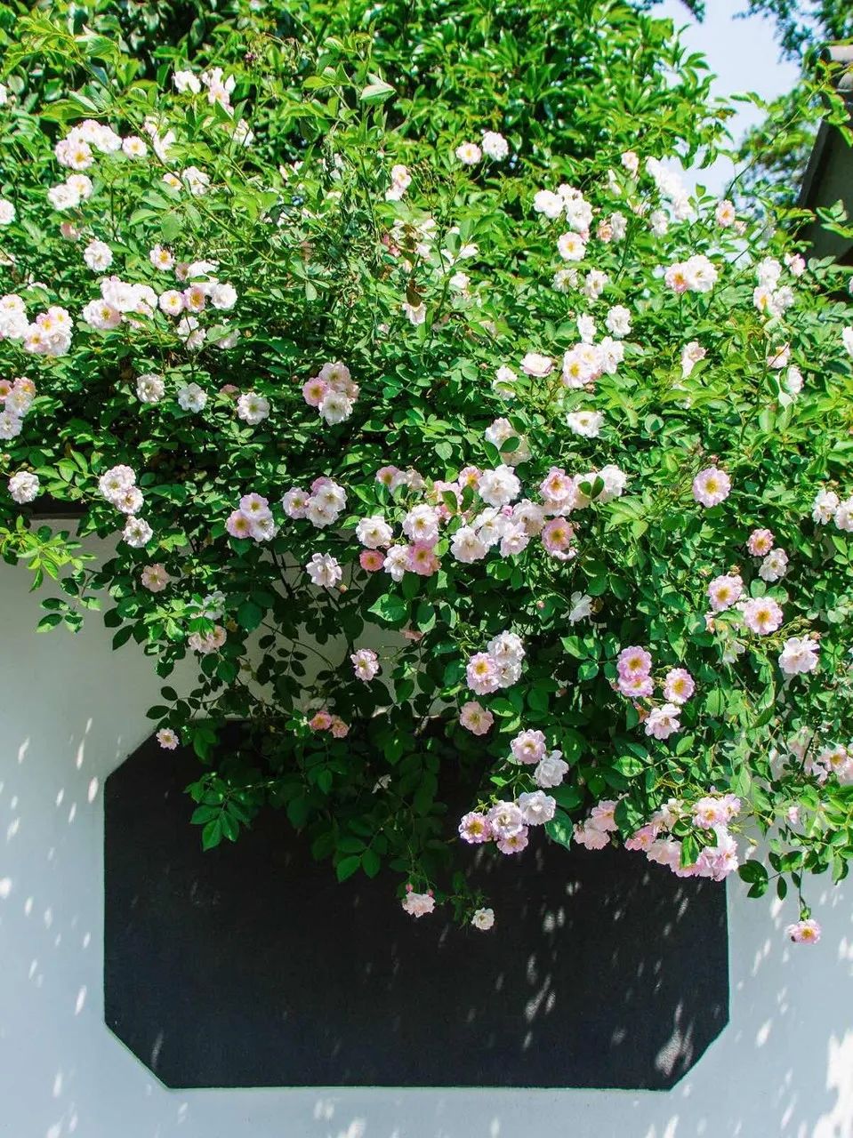 中国最爱改名的城市：改了40多次，曾用名70多个！如今名字超霸气，闻名天下！不输北京，此生必去......