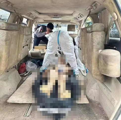 虽远必诛！缅北电诈家族全部归案！用实力演绎“得罪上三常必死定律”