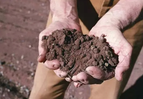 “最遗憾没挖秦始皇陵”，北派盗墓宗师被判死刑后却神秘消失……