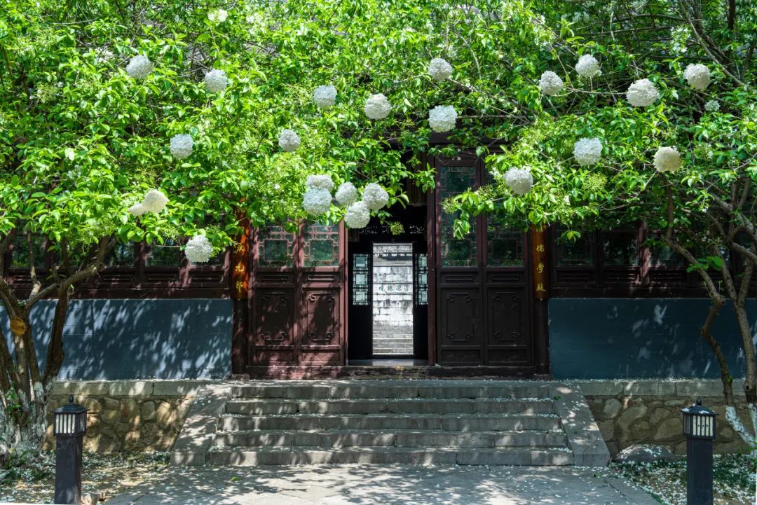 中国最爱改名的城市：改了40多次，曾用名70多个！如今名字超霸气，闻名天下！不输北京，此生必去......