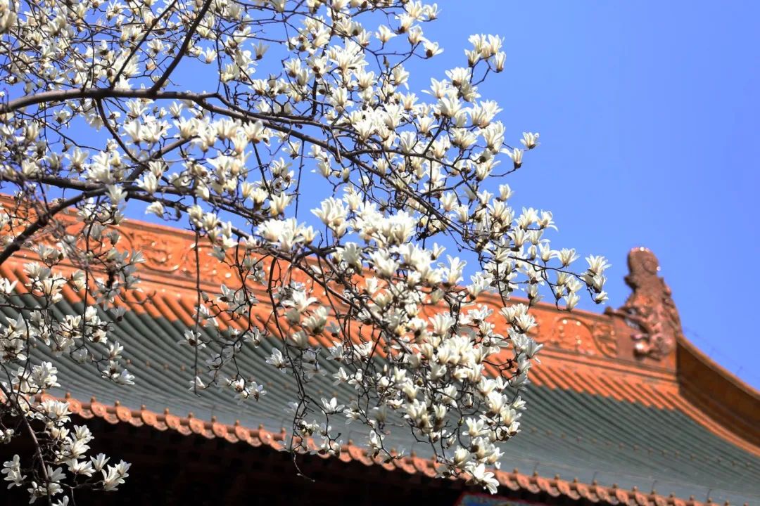 中国最爱改名的城市：改了40多次，曾用名70多个！如今名字超霸气，闻名天下！不输北京，此生必去......