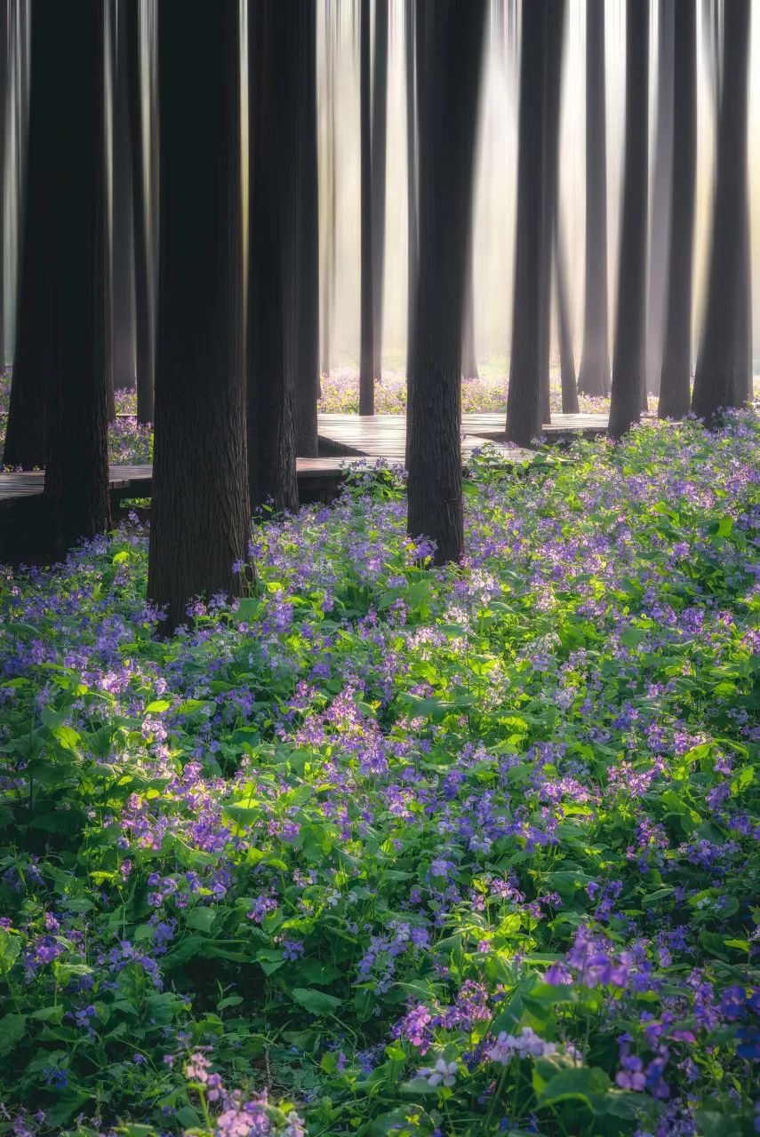 中国最爱改名的城市：改了40多次，曾用名70多个！如今名字超霸气，闻名天下！不输北京，此生必去......