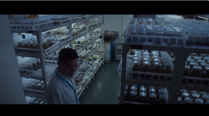 幸事!国安部出手管粮食安全,蛀虫内鬼开挖了