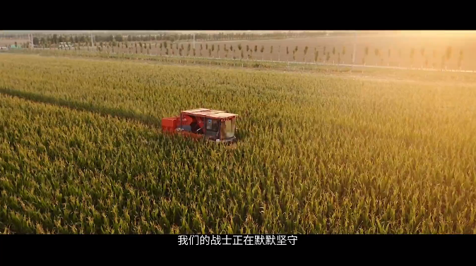 幸事!国安部出手管粮食安全,蛀虫内鬼开挖了