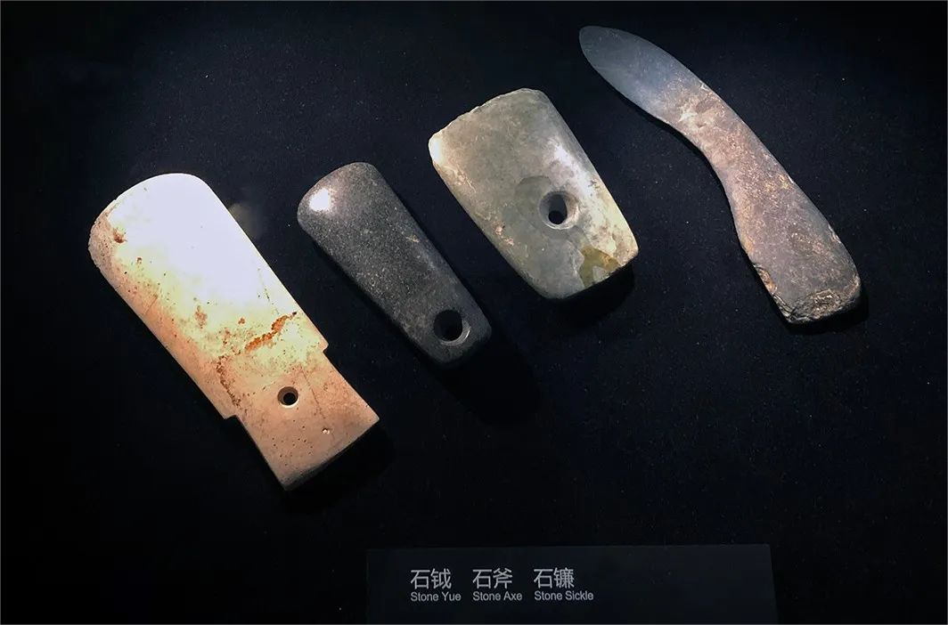 世界上最早的手术刀