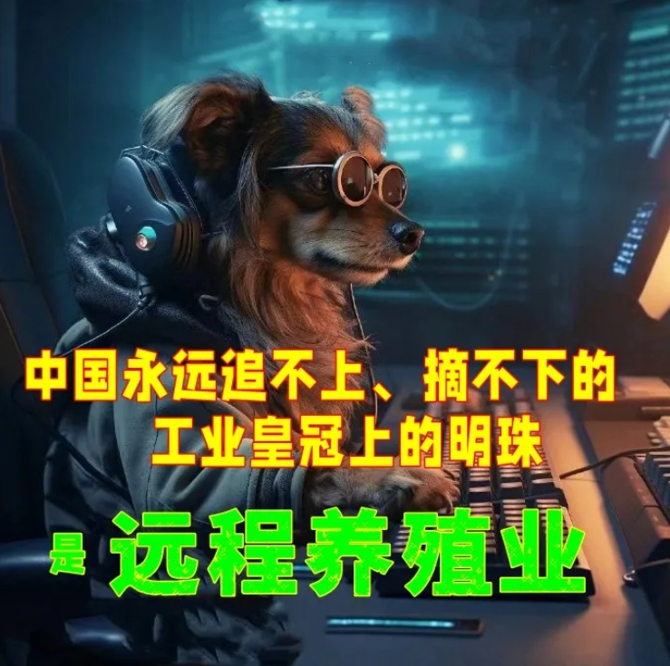 润美女律师如果生在美国,能走出深山变凤凰吗?