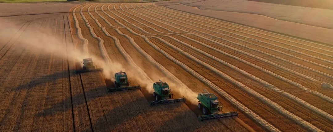 中国取消150万吨美澳小麦，抄底俄罗斯！