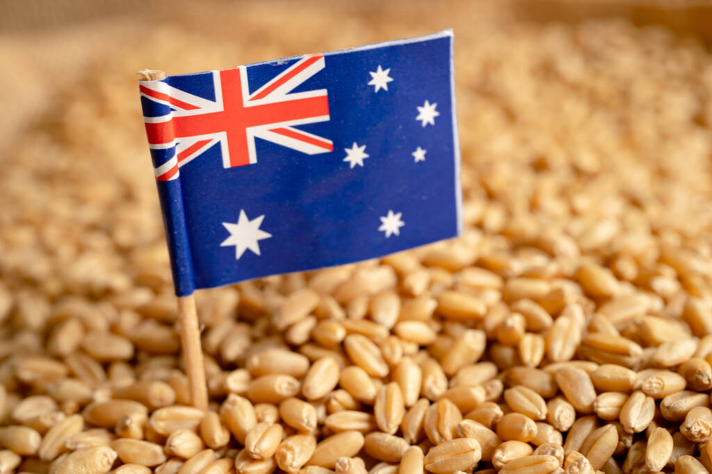 中国取消150万吨美澳小麦，抄底俄罗斯！