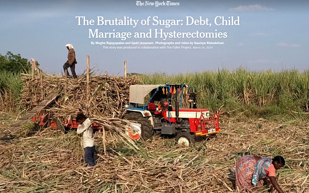 为了生存，割掉了子宫的印度制糖工人
