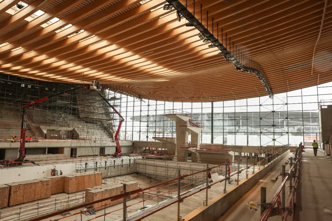 当着小马的面,法国运动员跳水失败笑翻全网,网友:很法国,可以笑,但不能嘲笑……