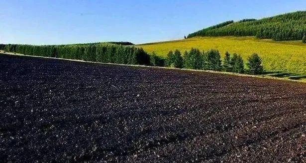 最近,全球震撼,大变局已经到来