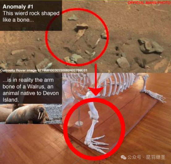 六爷出了惹不起的版本，美式神话跌得粉碎