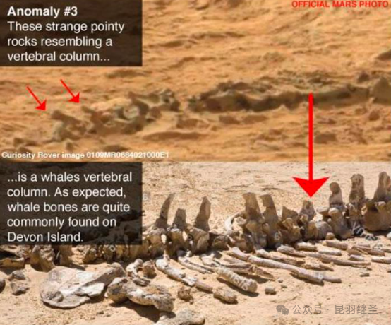 六爷出了惹不起的版本，美式神话跌得粉碎