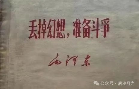 连续八年,台当局被世卫拒之门外!