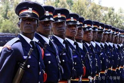 你没看错，美国向非洲求助了