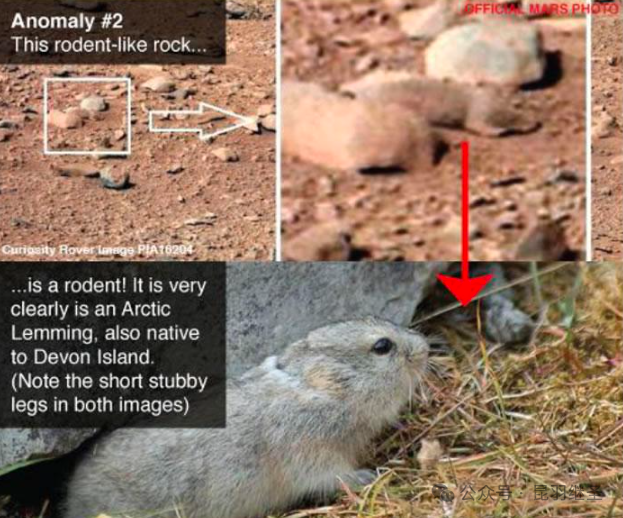 六爷出了惹不起的版本，美式神话跌得粉碎