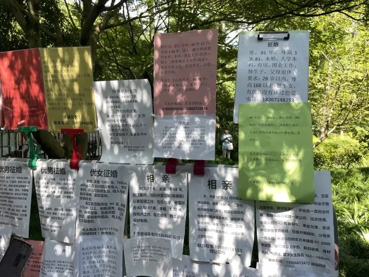 一夜蒸发16亿!中国光棍天堂,被王婆干翻了