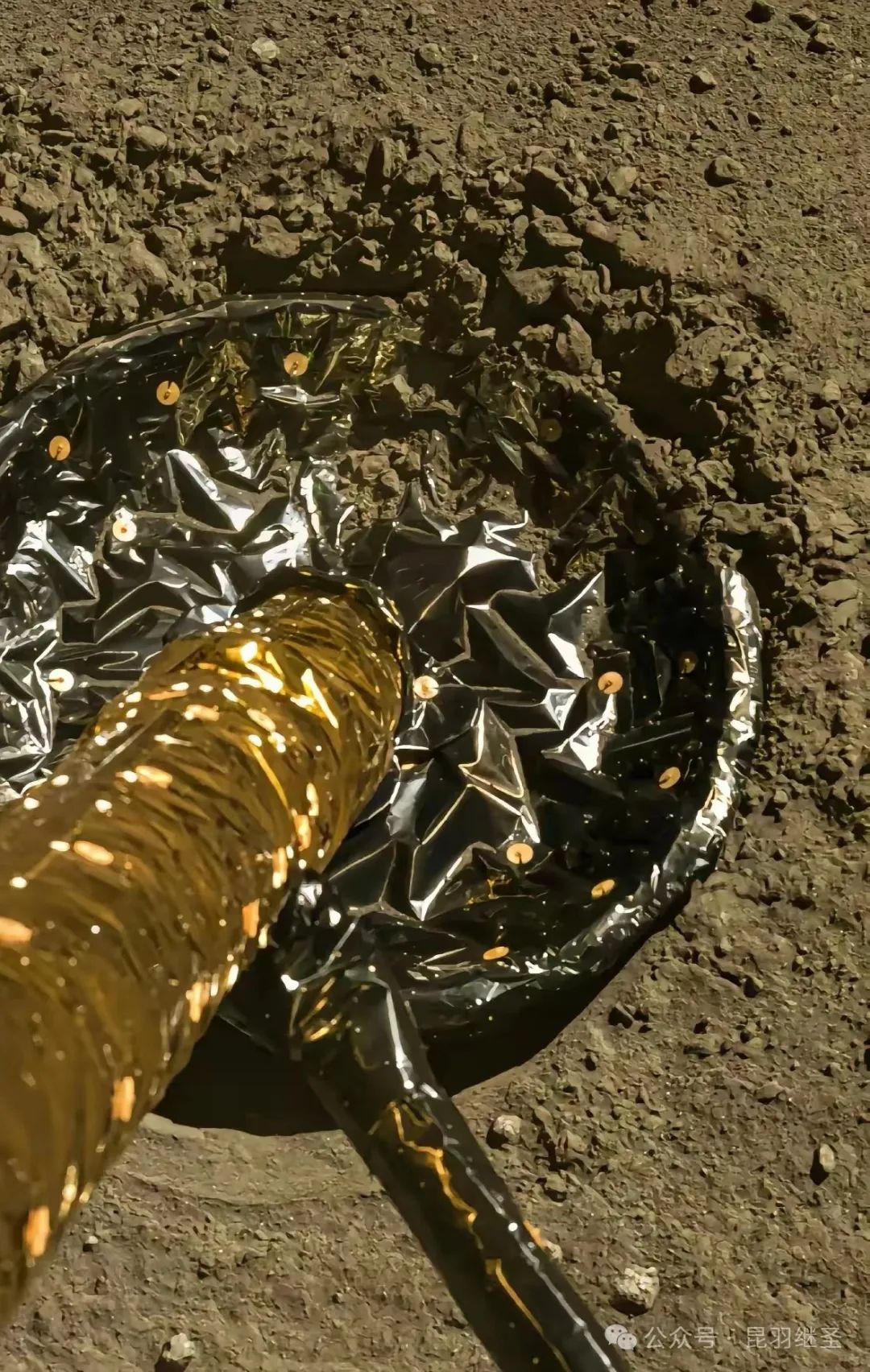 美国制造吞噬美国时，嫦娥姐姐来打脸了