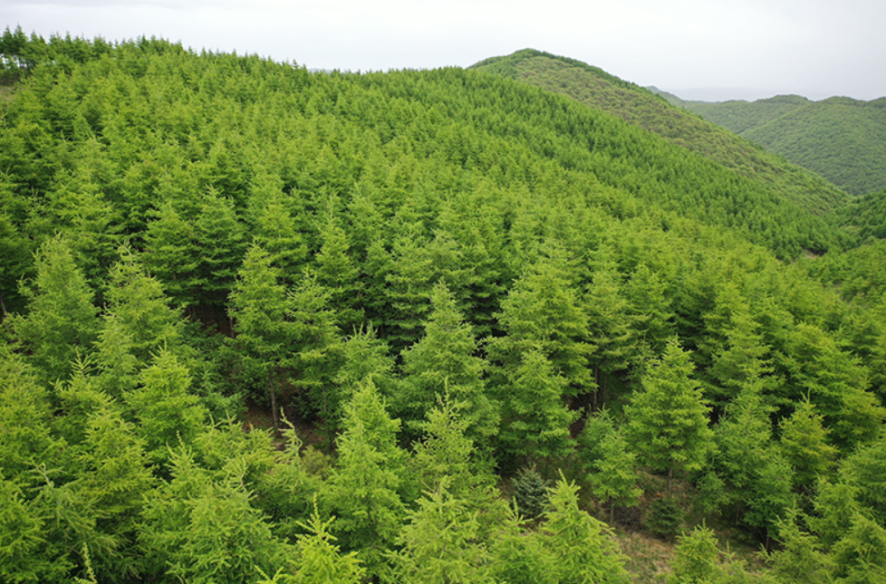 印度高温启示录