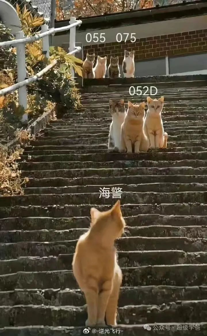 典型的东大作风——仁爱礁中国出手,痛打菲律宾的屁股和美帝的脸