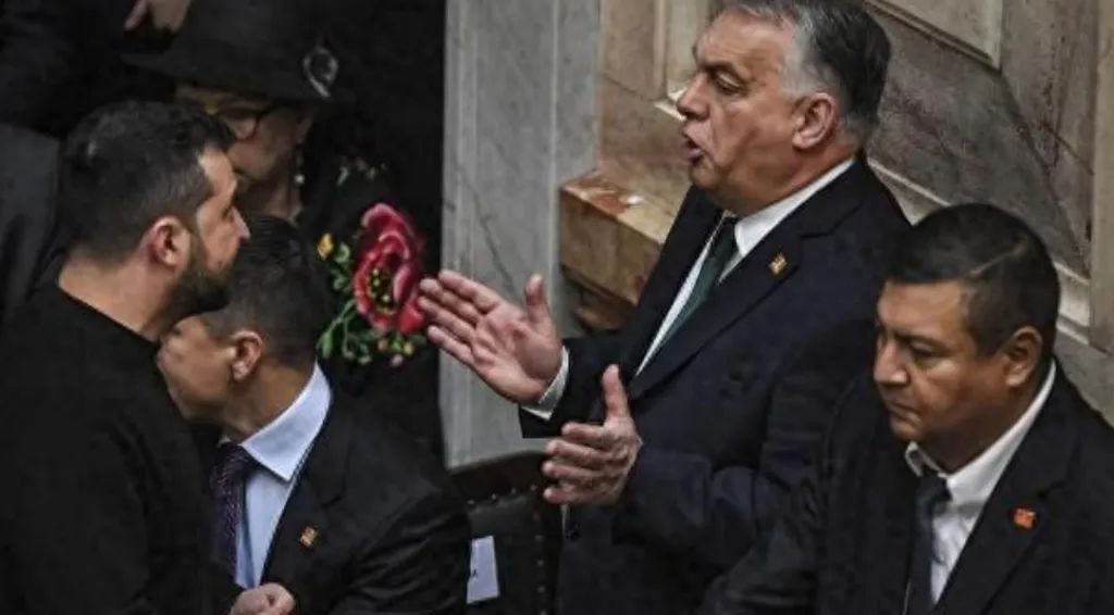 逆行的欧尔班说,懂中国文化才懂得治理国家 逆行的欧尔班说,懂中国文化才懂得治理国家