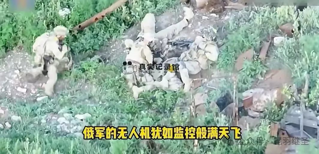 美俄直接交手,穷兵黩武的日本闹起了米荒 美俄直接交手,穷兵黩武的日本闹起了米荒