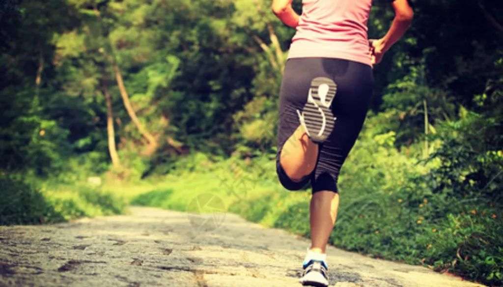 高端的殖人,往往只需要简单的烹饪方式 高端的殖人,往往只需要简单的烹饪方式