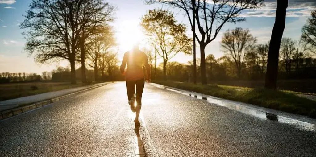 高端的殖人,往往只需要简单的烹饪方式 高端的殖人,往往只需要简单的烹饪方式