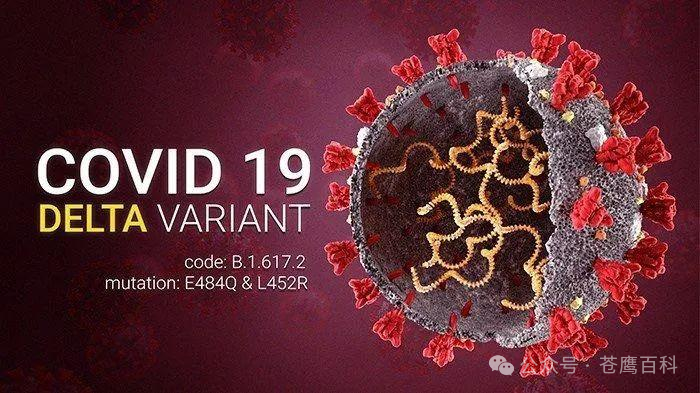 东风-27狂飙5000公里,高速命中移动靶船!美军彻底失眠:这要怎么拦截? 东风-27狂飙5000公里,高速命中移动靶船!美军彻底失眠:这要怎么拦截?