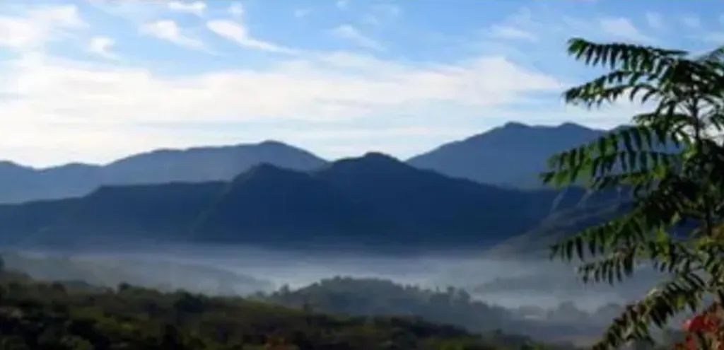 缅甸果敢既然选择了汉族,那就面临着血腥的斗争吧 缅甸果敢既然选择了汉族,那就面临着血腥的斗争吧