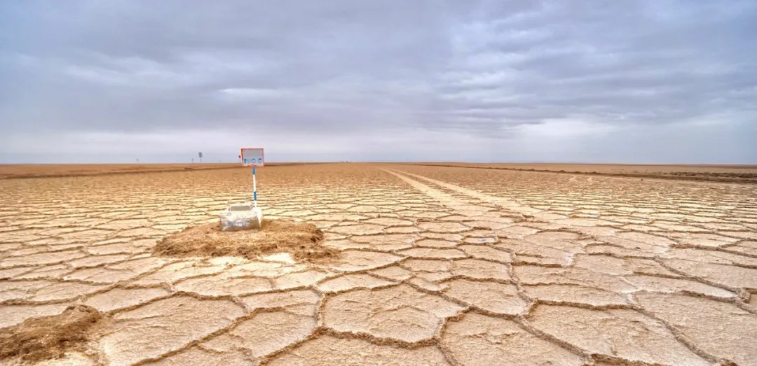 最近,一场更激烈的绞杀战,报复要来了 最近,一场更激烈的绞杀战,报复要来了