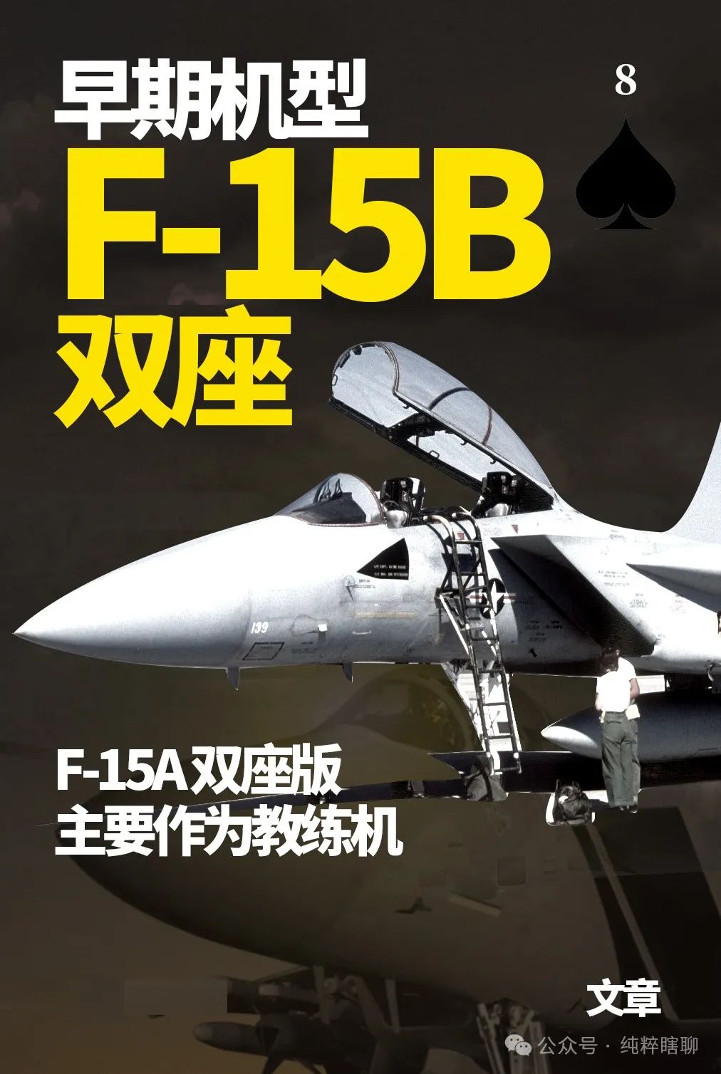 F-15鹰系列战斗机,美空军的骨干力量,重型战斗机的扛鼎之作 F-15鹰系列战斗机,美空军的骨干力量,重型战斗机的扛鼎之作