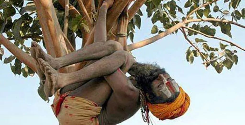 印度向全世界传授辟谷之法,中国富人最为痴迷 印度向全世界传授辟谷之法,中国富人最为痴迷