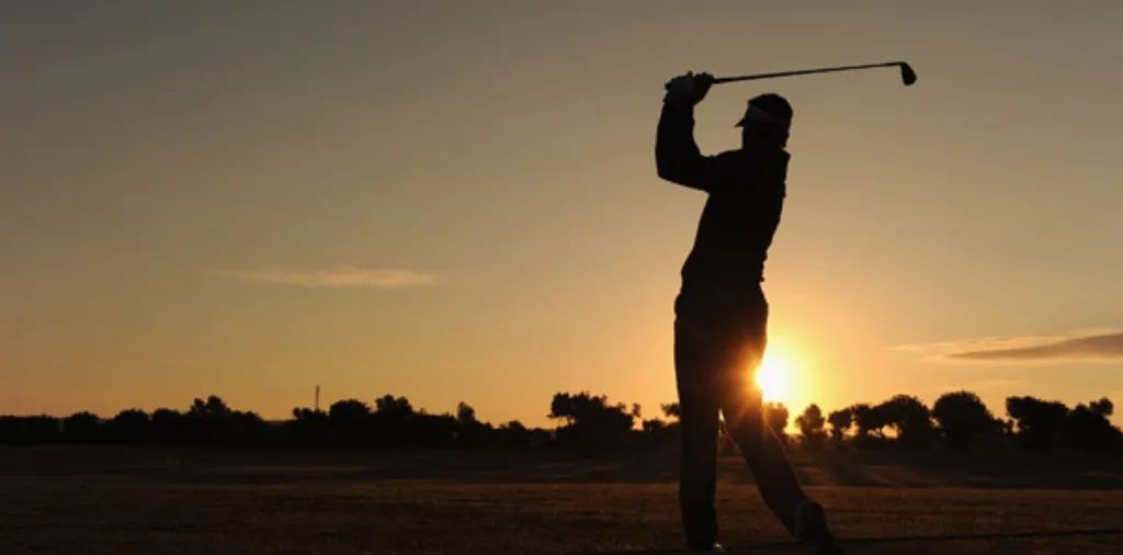 高端的殖人,往往只需要简单的烹饪方式 高端的殖人,往往只需要简单的烹饪方式