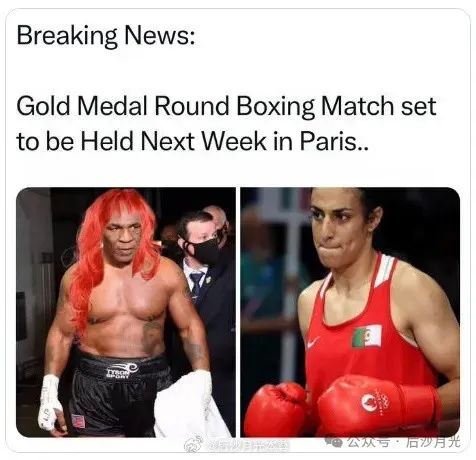 奥运会“男人”打女人,这事并不简单 奥运会“男人”打女人,这事并不简单