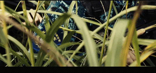 台湾的武统剧《零日攻击》即将上映！解放军中校拿192步枪带头冲锋？｜军武电影