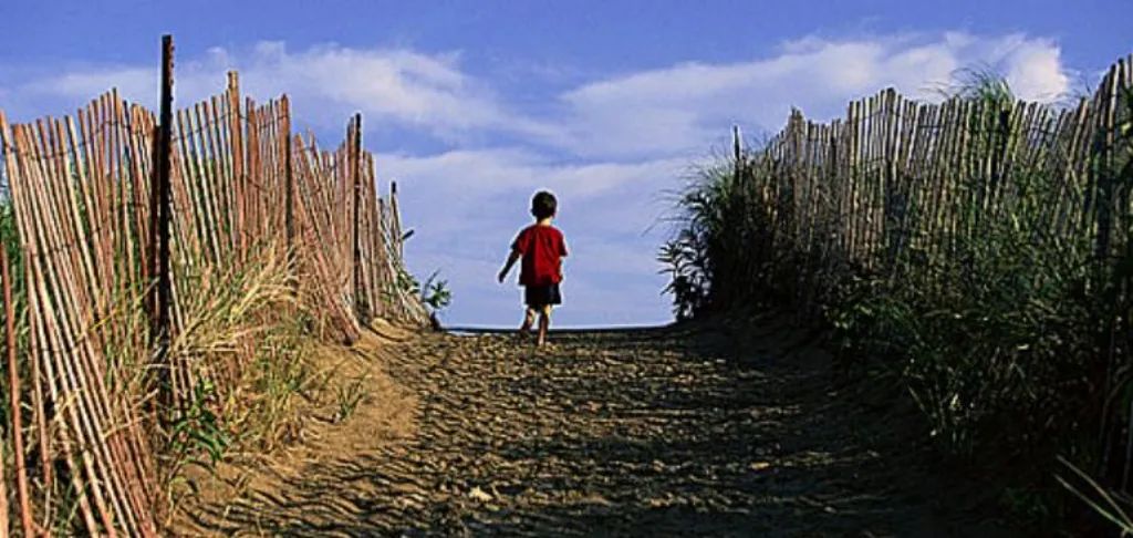 中国人的孩子自己养,是时代发展的进步 中国人的孩子自己养,是时代发展的进步